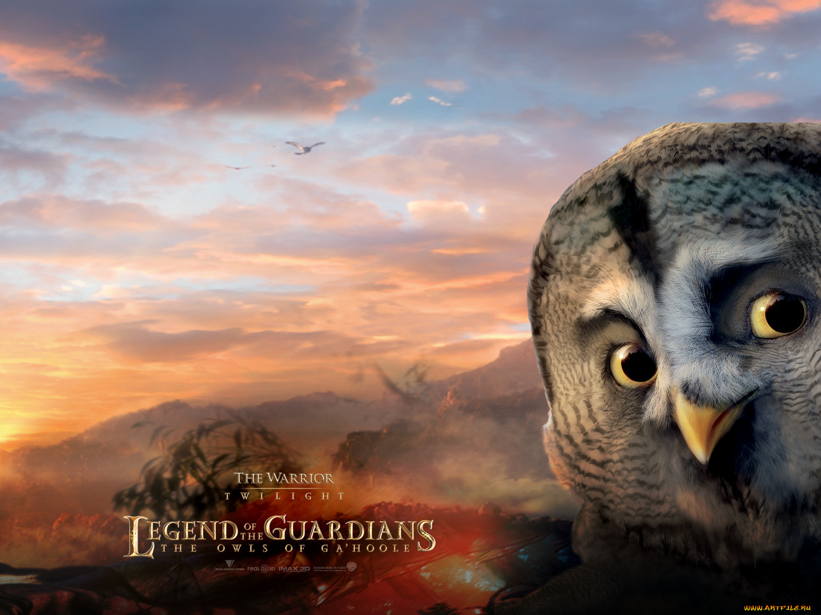 legend, of, the, guardians, owls, gahoole, 